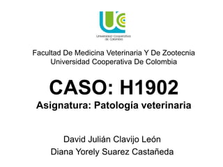 CASO: H1902
Asignatura: Patología veterinaria
David Julián Clavijo León
Diana Yorely Suarez Castañeda
Facultad De Medicina Veterinaria Y De Zootecnia
Universidad Cooperativa De Colombia
 
