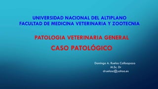 UNIVERSIDAD NACIONAL DEL ALTIPLANO
FACULTAD DE MEDICINA VETERINARIA Y ZOOTECNIA
PATOLOGIA VETERINARIA GENERAL
CASO PATOLÓGICO
Domingo A. Ruelas Calloapaza
M.Sc. Dr
druelasc@yahoo.es
 