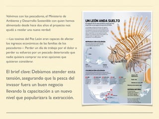 Volvimos con los pescadores, el Ministerio de
Ambiente y Desarrollo Sostenible con quien hemos
alimentado desde hace dos años el proyecto nos
ayudó a revelar una nueva verdad:
—Las toxinas del Pez León eran capaces de afectar
los ingresos económicos de las familias de los
pescadores— Perder un día de trabajo por el dolor o
perder su esfuerzo por un pescado deteriorado que
nadie quisiera comprar no eran opciones que
quisieran considerar.
El brief clave: Debíamos atender esta
tensión, asegurando que la pesca del
invasor fuera un buen negocio
llevando la capacitación a un nuevo
nivel que popularizara la extracción.
 