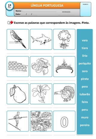 Escreve as palavras que correspondem às imagens. Pinta.
vara
tiara
lírio
periquito
zero
pirata
pera
tubarão
feira
peru
muro
pereira
Data : / /
INFORMAÇÃO :
Nome :
LÍNGUA PORTUGUESA1ºANO
RUBRICA :
 