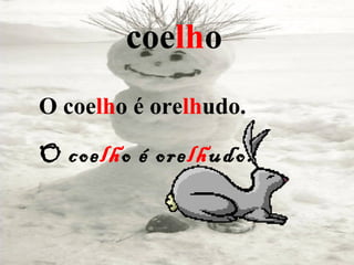 coelho
O coelho é orelhudo.

O coelho é orelhudo.
 