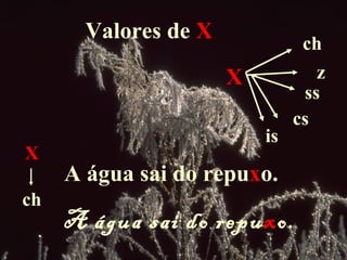 Valores de X             ch
                      X           z
                                ss
                               cs
                          is
X
     A água sai do repuxo.
ch
     A água sai do repuxo.
 