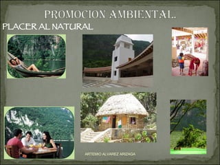 PLACER AL NATURAL ARTEMIO ALVAREZ ARIZAGA 