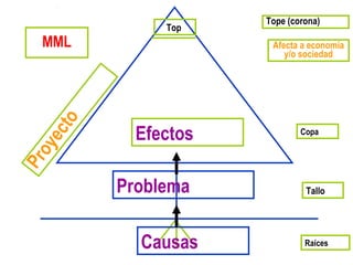 MML
Causas Raíces
Tallo
Copa
Tope (corona)
Problema
Efectos
Top
Proyecto
Afecta a economía
y/o sociedad
 