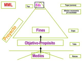 MML
Medios Raíces
Tallo
Copa
Tope (corona)
Objetivo-Propósito
Fines
FinProyecto
Afecta a economía
y/o sociedad
Top
 