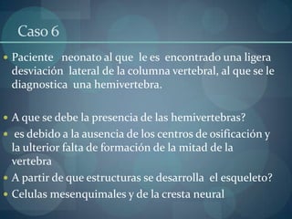 Caso 6Paciente   neonato al que  le es  encontrado una ligera desviación  lateral de la columna vertebral, al que se le diagnostica  una hemivertebra.A que se debe la presencia de las hemivertebras?es debido a la ausencia de los centros de osificación y la ulterior falta de formación de la mitad de la vertebraA partir de que estructuras se desarrolla  el esqueleto?Celulasmesenquimales y de la cresta neural