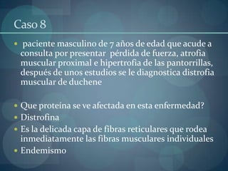 Caso 8paciente masculino de 7 años de edad que acude a consulta por presentar  pérdida de fuerza, atrofia muscular proximal e hipertrofia de las pantorrillas, después de unos estudios se le diagnostica distrofia  muscular de ducheneQue proteína se ve afectada en esta enfermedad?DistrofinaEs la delicada capa de fibras reticulares que rodea inmediatamente las fibras musculares individualesEndemismo 