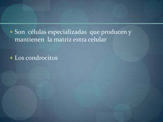 Son  células especializadas  que producen y mantienen  la matriz extra celularLos condrocitos
