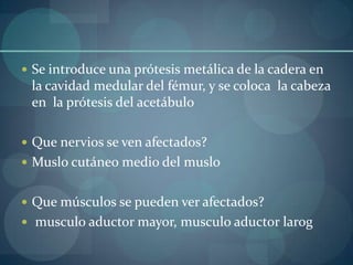 Se introduce una prótesis metálica de la cadera en la cavidad medular del fémur, y se coloca  la cabeza en  la prótesis del acetábuloQue nervios se ven afectados?Muslo cutáneo medio del musloQue músculos se pueden ver afectados?musculo aductor mayor, musculo aductor larog