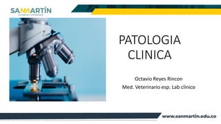 PATOLOGIA
CLINICA
Octavio Reyes Rincon
Med. Veterinario esp. Lab clinico
 