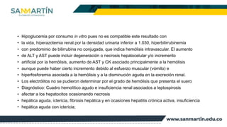 • Hipoglucemia por consumo in vitro pues no es compatible este resultado con
• la vida, hiperazotemia renal por la densidad urinaria inferior a 1.030, hiperbilirrubinemia
• con predominio de bilirrubina no conjugada, que indica hemólisis intravascular. El aumento
• de ALT y AST puede incluir degeneración o necrosis hepatocelular y/o incremento
• artificial por la hemólisis, aumento de AST y CK asociado principalmente a la hemólisis
• aunque puede haber cierto incremento debido al esfuerzo muscular (vómito) e
• hiperfosforemia asociada a la hemólisis y a la disminución aguda en la excreción renal.
• Los electrólitos no se pudieron determinar por el grado de hemólisis que presenta el suero
• Diagnóstico: Cuadro hemolítico agudo e insuficiencia renal asociados a leptospirosis
• afectar a los hepatocitos ocasionando necrosis
• hepática aguda, ictericia, fibrosis hepática y en ocasiones hepatitis crónica activa, insuficiencia
• hepática aguda con ictericia;
 