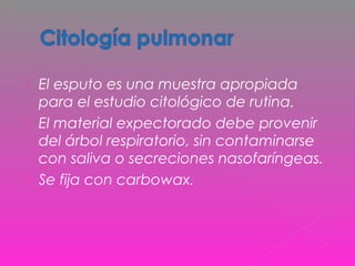  El esputo es una muestra apropiada
para el estudio citológico de rutina.
 El material expectorado debe provenir
del árbol respiratorio, sin contaminarse
con saliva o secreciones nasofaríngeas.
 Se fija con carbowax.
 