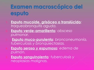 1. Esputo mucoide, grisáceo o translúcido:
traqueobronquitis aguda.
2. Esputo verde-amarillento: absceso
pulmonar.
3. Esputo muco-purulento: bronconeumonía,
tuberculosis y bronquiectasias.
4. Esputo seroso y espumoso: edema de
pulmón.
5. Esputo sanguinolento: tuberculosis y
neoplasias malignas.
 