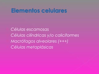  Células escamosas
 Células cilíndricas y/o caliciformes
 Macrófagos alveolares (+++)
 Células metaplásicas
 