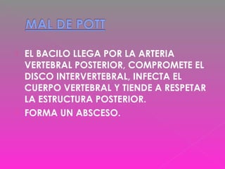  EL BACILO LLEGA POR LA ARTERIA
VERTEBRAL POSTERIOR, COMPROMETE EL
DISCO INTERVERTEBRAL, INFECTA EL
CUERPO VERTEBRAL Y TIENDE A RESPETAR
LA ESTRUCTURA POSTERIOR.
 FORMA UN ABSCESO.
 
