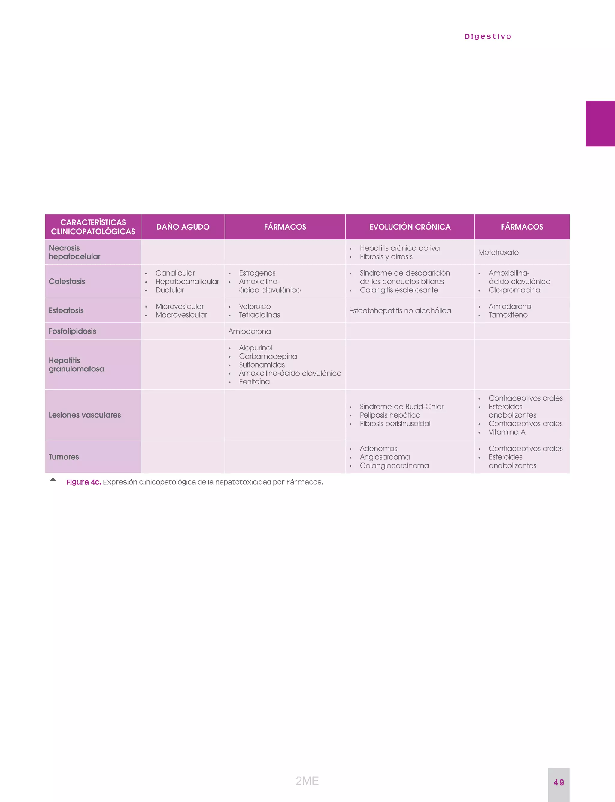 D i g e s t i v o
4 9
CARACTERÍSTICAS
CLINICOPATOLÓGICAS
DAÑO AGUDO FÁRMACOS EVOLUCIÓN CRÓNICA FÁRMACOS
Necrosis
hepatocelular
• Hepatitis crónica activa
• Fibrosis y cirrosis
Metotrexato
Colestasis
• Canalicular
• Hepatocanalicular
• Ductular
• Estrogenos
• Amoxicilina-
ácido clavulánico
• Síndrome de desaparición
de los conductos biliares
• Colangitis esclerosante
• Amoxicilina-
ácido clavulánico
• Clorpromacina
Esteatosis
• Microvesicular
• Macrovesicular
• Valproico
• Tetraciclinas
Esteatohepatitis no alcohólica
• Amiodarona
• Tamoxifeno
Fosfolipidosis Amiodarona
Hepatitis
granulomatosa
• Alopurinol
• Carbamacepina
• Sulfonamidas
• Amoxicilina-ácido clavulánico
• Fenitoína
Lesiones vasculares
• Síndrome de Budd-Chiari
• Peliposis hepática
• Fibrosis perisinusoidal
• Contraceptivos orales
• Esteroides
anabolizantes
• Contraceptivos orales
• Vitamina A
Tumores
• Adenomas
• Angiosarcoma
• Colangiocarcinoma
• Contraceptivos orales
• Esteroides
anabolizantes
Figura 4c. Expresión clinicopatológica de la hepatotoxicidad por fármacos.
2ME
2ME
 
