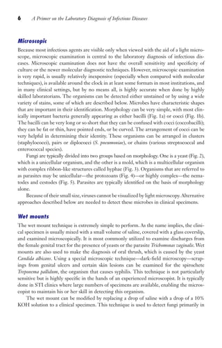 6 A Primer on the Laboratory Diagnosis of Infectious Diseases
Microscopic
Because most infectious agents are visible only when viewed with the aid of a light micro-
scope, microscopic examination is central to the laboratory diagnosis of infectious dis-
eases. Microscopic examination does not have the overall sensitivity and specificity of
culture or the newer molecular diagnostic techniques. However, microscopic examination
is very rapid, is usually relatively inexpensive (especially when compared with molecular
techniques), is available around the clock in at least some formats in most institutions, and
in many clinical settings, but by no means all, is highly accurate when done by highly
skilled laboratorians. The organisms can be detected either unstained or by using a wide
variety of stains, some of which are described below. Microbes have characteristic shapes
that are important in their identification. Morphology can be very simple, with most clin-
ically important bacteria generally appearing as either bacilli (Fig. 1a) or cocci (Fig. 1b).
The bacilli can be very long or so short that they can be confused with cocci (coccobacilli);
they can be fat or thin, have pointed ends, or be curved. The arrangement of cocci can be
very helpful in determining their identity. These organisms can be arranged in clusters
(staphylococci), pairs or diplococci (S. pneumoniae), or chains (various streptococcal and
enterococcal species).
Fungi are typically divided into two groups based on morphology. One is a yeast (Fig. 2),
which is a unicellular organism, and the other is a mold, which is a multicellular organism
with complex ribbon-like structures called hyphae (Fig. 3). Organisms that are referred to
as parasites may be unicellular—the protozoans (Fig. 4)—or highly complex—the nema-
todes and cestodes (Fig. 5). Parasites are typically identified on the basis of morphology
alone.
Because of their small size, viruses cannot be visualized by light microscopy.Alternative
approaches described below are needed to detect these microbes in clinical specimens.
Wet mounts
The wet mount technique is extremely simple to perform. As the name implies, the clini-
cal specimen is usually mixed with a small volume of saline, covered with a glass coverslip,
and examined microscopically. It is most commonly utilized to examine discharges from
the female genital tract for the presence of yeasts or the parasite Trichomonas vaginalis. Wet
mounts are also used to make the diagnosis of oral thrush, which is caused by the yeast
Candida albicans. Using a special microscopic technique—dark-field microscopy—scrap-
ings from genital ulcers and certain skin lesions can be examined for the spirochete
Treponema pallidum, the organism that causes syphilis. This technique is not particularly
sensitive but is highly specific in the hands of an experienced microscopist. It is typically
done in STI clinics where large numbers of specimens are available, enabling the micros-
copist to maintain his or her skill in detecting this organism.
The wet mount can be modified by replacing a drop of saline with a drop of a 10%
KOH solution to a clinical specimen. This technique is used to detect fungi primarily in
Gilligan_Primer_001-024.indd 6 7/24/14 11:42 AM
 