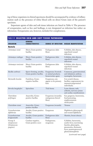 Skin and Soft Tissue Infections 257
ing of these organisms in clinical specimens should be accompanied by evidence of inflam-
mation such as the presence of white blood cells on direct Gram stain of the patient’s
specimen.
Important agents of skin and soft tissue infection are listed in Table 4. The presence
of ectoparasites, such as lice and bedbugs, is not designated an infection but rather an
infestation. Ectoparasites are, however, included for completeness.
TABLE IV ​
SELECTED SKIN AND SOFT TISSUE PATHOGENS
ORGANISM
GENERAL
CHARACTERISTICS SOURCE OF INFECTION DISEASE MANIFESTATION
Bacteria
Actinomyces neuii Short, Gram-positive
bacillus
Endogenous (skin
flora)
Cellulitis, skin abscess,
superficial wound
infections
Actinomyces radingae Short, Gram-positive
bacillus
Endogenous (skin
flora)
Cellulitis, skin abscess,
superficial wound
infections
Actinomyces turicensis Short, Gram-positive
bacillus
Endogenous (skin
flora)
Cellulitis, skin abscess,
superficial wound
infections
Bacillus anthracis Spore-forming, aerobic,
Gram-positive bacillus
Exogenous; livestock
or animal products;
bioterrorism agent
Cutaneous, gastrointestinal,
and inhalation anthrax;
meningitis; bacteremia
Bartonella henselae Fastidious, Gram-
negative bacillus
Exogenous; cats
appear to be primary
host
Cat scratch disease,
bacillary angiomatosis (in
immunocompromised
individuals)
Borrelia burgdorferi Spirochete Tick-borne Lyme disease; rash,
arthritis, nervous system
and cardiac manifestations
Clostridium
perfringens
Anaerobic, Gram-
positive bacillus
Exogenous (wounds);
endogenous (bowel
flora)
Gas gangrene, bacteremia,
food poisoning,
emphysematous
cholecystitis
Clostridium tetani Anaerobic, Gram-
positive bacillus
Exogenous (wounds) Tetanus
Corynebacterium
diphtheriae
Aerobic, Gram-positive
bacillus
Exogenous Diphtheria (pharyngeal)
and wound diphtheria
Corynebacterium
kroppenstedtii
Aerobic, Gram-positive
bacillus
Endogenous (skin
flora)
Mastitis, breast abscess
Group A
streptococci
(Streptococcus
pyogenes)
Catalase-negative,
Gram-positive cocci
Endogenous;
exogenous
Cellulitis, bacteremia,
scarlet fever, necrotizing
fasciitis, pharyngitis,
pneumonia, rheumatic
fever, poststreptococcal
glomerulonephritis
(continued next page)
Gilligan_Sec4_255-306.indd 257 7/24/14 11:44 AM
 