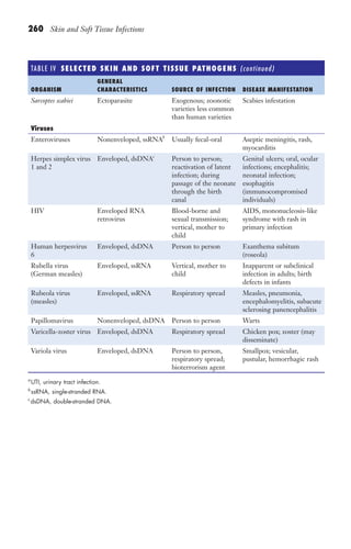 260 Skin and Soft Tissue Infections
TABLE IV ​
SELECTED SKIN AND SOFT TISSUE PATHOGENS (continued)
ORGANISM
GENERAL
CHARACTERISTICS SOURCE OF INFECTION DISEASE MANIFESTATION
Sarcoptes scabiei Ectoparasite Exogenous; zoonotic
varieties less common
than human varieties
Scabies infestation
Viruses
Enteroviruses Nonenveloped, ssRNAb
Usually fecal-oral Aseptic meningitis, rash,
myocarditis
Herpes simplex virus
1 and 2
Enveloped, dsDNAc
Person to person;
reactivation of latent
infection; during
passage of the neonate
through the birth
canal
Genital ulcers; oral, ocular
infections; encephalitis;
neonatal infection;
esophagitis
(immunocompromised
individuals)
HIV Enveloped RNA
retrovirus
Blood-borne and
sexual transmission;
vertical, mother to
child
AIDS, mononucleosis-like
syndrome with rash in
primary infection
Human herpesvirus
6
Enveloped, dsDNA Person to person Exanthema subitum
(roseola)
Rubella virus
(German measles)
Enveloped, ssRNA Vertical, mother to
child
Inapparent or subclinical
infection in adults; birth
defects in infants
Rubeola virus
(measles)
Enveloped, ssRNA Respiratory spread Measles, pneumonia,
encephalomyelitis, subacute
sclerosing panencephalitis
Papillomavirus Nonenveloped, dsDNA Person to person Warts
Varicella-zoster virus Enveloped, dsDNA Respiratory spread Chicken pox; zoster (may
disseminate)
Variola virus Enveloped, dsDNA Person to person,
respiratory spread;
bioterrorism agent
Smallpox; vesicular,
pustular, hemorrhagic rash
a
UTI, urinary tract infection.
b
ssRNA, single-stranded RNA.
c
dsDNA, double-stranded DNA.
Gilligan_Sec4_255-306.indd 260 7/24/14 11:44 AM
 