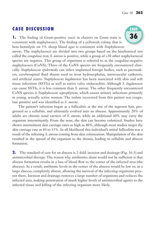 Case 36 263
CASE DISCUSSION
1. The finding of Gram-positive cocci in clusters on Gram stain is
consistent with staphylococci. The finding of a yellowish colony that is
beta-hemolytic on 5% sheep blood agar is consistent with Staphylococcus
aureus. The staphylococci are divided into two groups based on the biochemical test
called the coagulase test; S. aureus is positive, while a group of 30 other staphylococcal
species are negative. This group of organisms is referred to as the coagulase-negative
staphylococci (CoNS). Three of the CoNS species are frequently encountered clini-
cally. Staphylococcus epidermidis can infect implanted foreign bodies, such as pacemak-
ers, cerebrospinal fluid shunts used to treat hydrocephalus, intravascular catheters,
and artificial joints. Staphylococcus lugdunensis has been associated with skin and soft
tissue infections (SSTIs) as well as native valve endocarditis. Although S. lugdunensis
can cause SSTIs, it is less common than S. aureus. The other frequently encountered
CoNS species is Staphylococcus saprophyticus, which causes urinary infections primarily
in young, sexually active women. The isolate recovered from this patient was coagu-
lase positive and was identified as S. aureus.
The patient’s infection began as a folliculitis at the site of the ingrown hair, pro-
gressed to a cellulitis, and ultimately evolved into an abscess. Approximately 20% of
adults are chronic nasal carriers of S. aureus, while an additional 60% may carry the
organism intermittently. From the nose, the skin can become colonized. Studies have
shown intermittent skin carriage rates as high as 40%, although most studies target the
skin carriage rate at 10 to 15%. In all likelihood this individual’s initial folliculitis was a
result of the infecting S. aureus coming from skin colonization. Manipulation of the skin
resulted in the spread of the organism to the dermis, leading to cellulitis and abscess
formation.
2. The standard of care for an abscess is 2-fold: incision and drainage (Fig. 36.3) and
antimicrobial therapy. The reason why antibiotics alone would not be sufficient is that
abscess formation results in a loss of blood flow to the center of the infected area (the
abscess). As a result, antibiotic levels in the center of the abscess would be low or, in a
large abscess, completely absent, allowing the survival of the infecting organisms pres-
ent there. Incision and drainage removes a large number of organisms and reduces the
infected area, making penetration of much higher levels of antimicrobial agents to the
infected tissue and killing of the infecting organism more likely.
Staphylococcus
CASE
36
Gilligan_Sec4_255-306.indd 263 7/24/14 11:44 AM
 