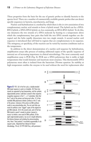 12 A Primer on the Laboratory Diagnosis of Infectious Diseases
These properties form the basis for the use of genetic probes to identify bacteria to the
species level. There are a number of commercially available genetic probes that can detect
specific sequences in bacteria, mycobacteria, and fungi.
Nucleic acid hybridization is a method by which there is the in vitro association of two
complementary nucleic acid strands to form a hybrid strand. The hybrid can be a DNA-
RNA hybrid, a DNA-DNA hybrid, or, less commonly, an RNA-RNA hybrid. To do this,
one denatures the two strands of a DNA molecule by heating to a temperature above
which the complementary base pairs that hold the two DNA strands together are dis-
rupted and the helix rapidly dissociates into two single strands. A second nucleic acid
sequence is introduced that will bind to regions that are complementary to its sequence.
The stringency, or specificity, of the reaction can be varied by reaction conditions such as
the temperature.
In addition to the direct demonstration of a nucleic acid sequence by hybridization,
amplification assays (the process of making additional copies of the specific sequence of
interest) are of increasing importance in clinical microbiology. The most commonly used
amplification assay is PCR (Fig. 8). PCR uses a DNA polymerase that is stable at high
temperatures that would denature and inactivate most enzymes. This thermostable DNA
polymerase most often is isolated from the bacterium Thermus aquaticus. Its stability at
high temperature enables the enzyme to be used without the need for replacement after
Figure 8 ​
PCR. (A) In the first cycle, a double-stranded
DNA target sequence is used as a template. (B) These two
strands are separated by heat denaturation, and the synthetic
oligonucleotide primers (solid bars) anneal to their respective
recognition sequences in the 5’ → 3’ orientation. Note that
the 3’ ends of the primers are facing each other. (C) A ther-
mostable DNA polymerase initiates synthesis at the 3’ ends
of the primers. Extension of the primer via DNA synthesis
results in new primer-binding sites. The net result after one
round of synthesis is two “ragged” copies of the original tar-
get DNA molecule. (D) In the second cycle, each of the four
DNA strands in panel C anneals to primers (present in
excess) to initiate a new round of DNA synthesis. Of the
eight single-stranded products, two are of a length defined by
the distance between and including the primer-annealing
sites; these “short products” accumulate exponentially in sub-
sequent cycles. (Reprinted from Manual of Clinical
Microbiology, 7th ed, ©1999 ASM Press, with permission.)
Gilligan_Primer_001-024.indd 12 7/24/14 11:42 AM
 