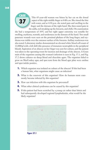 268
This 65-year-old woman was bitten by her cat on the dorsal
aspect of the right middle finger at 8:00 a.m. She rinsed the bite
with water, and at 4:30 p.m. she noted pain and swelling in the
finger and the dorsum of the right hand. She then noted pain in
the axilla, red streaking up the forearm, and chills. On examination
she had a temperature of 38°C and her right upper extremity was notable for
swelling, erythema, warmth, and tenderness on the dorsum of the hand. Two small
puncture wounds were seen on the proximal phalanx of the long finger, and ery-
thema was visible over the extensor surface of the forearm. Axillary tenderness was
also noted. Laboratory studies demonstrated an elevated white blood cell count of
12,000/μl with a left shift (the presence of immature neutrophils in the peripheral
blood). Aspiration of an abscess on her finger was sent for culture, and the patient
was taken to the operating room for incision and drainage of the abscess. A Gram
stain of the organism causing this woman’s infection is seen in Fig. 37.1, and Fig.
37.2 shows cultures on sheep blood and chocolate agars. The organism failed to
grow on MacConkey agar, and spot tests from the blood agar plate were oxidase
and spot indole positive.
1. Which organism was isolated on culture of the abscess? If this had been
a human bite, what organisms might cause an infection?
2. What is the reservoir of this organism? How do humans most com-
monly become infected by this organism?
3. How can infection with this organism be prevented?
4. What other clinical syndromes can be caused by this organism?
5. If this patient had been scratched by a young cat rather than bitten and
had subsequently developed regional lymphadenitis, what would be the
likely organism?
This 65-year-old woman was bitten by her cat on the dorsal
with water, and at 4:30 p.m. she noted pain and swelling in the
finger and the dorsum of the right hand. She then noted pain in
the axilla, red streaking up the forearm, and chills. On examination
CASE
37
Figure 37.1
Gilligan_Sec4_255-306.indd 268 7/24/14 11:44 AM
 