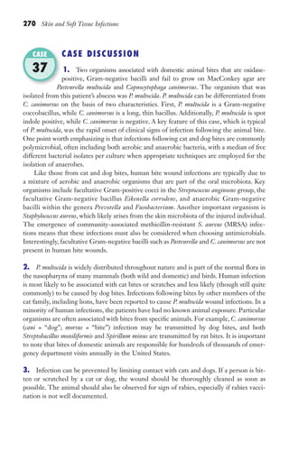 270 Skin and Soft Tissue Infections
CASE DISCUSSION
1. Two organisms associated with domestic animal bites that are oxidase-
positive, Gram-negative bacilli and fail to grow on MacConkey agar are
Pasteurella multocida and Capnocytophaga canimorsus. The organism that was
isolated from this patient’s abscess was P. multocida. P. multocida can be differentiated from
C. canimorsus on the basis of two characteristics. First, P. multocida is a Gram-negative
coccobacillus, while C. canimorsus is a long, thin bacillus. Additionally, P. multocida is spot
indole positive, while C. canimorsus is negative. A key feature of this case, which is typical
of P. multocida, was the rapid onset of clinical signs of infection following the animal bite.
One point worth emphasizing is that infections following cat and dog bites are commonly
polymicrobial, often including both aerobic and anaerobic bacteria, with a median of five
different bacterial isolates per culture when appropriate techniques are employed for the
isolation of anaerobes.
Like those from cat and dog bites, human bite wound infections are typically due to
a mixture of aerobic and anaerobic organisms that are part of the oral microbiota. Key
organisms include facultative Gram-positive cocci in the Streptococcus anginosus group, the
facultative Gram-negative bacillus Eikenella corrodens, and anaerobic Gram-negative
bacilli within the genera Prevotella and Fusobacterium. Another important organism is
Staphylococcus aureus, which likely arises from the skin microbiota of the injured individual.
The emergence of community-associated methicillin-resistant S. aureus (MRSA) infec-
tions means that these infections must also be considered when choosing antimicrobials.
Interestingly, facultative Gram-negative bacilli such as Pasteurella and C. canimorsus are not
present in human bite wounds.
2. P. multocida is widely distributed throughout nature and is part of the normal flora in
the nasopharynx of many mammals (both wild and domestic) and birds. Human infection
is most likely to be associated with cat bites or scratches and less likely (though still quite
commonly) to be caused by dog bites. Infections following bites by other members of the
cat family, including lions, have been reported to cause P. multocida wound infections. In a
minority of human infections, the patients have had no known animal exposure. Particular
organisms are often associated with bites from specific animals. For example, C. canimorsus
(cani = “dog”; morsus = “bite”) infection may be transmitted by dog bites, and both
Streptobacillus moniliformis and Spirillum minus are transmitted by rat bites. It is important
to note that bites of domestic animals are responsible for hundreds of thousands of emer-
gency department visits annually in the United States.
3. Infection can be prevented by limiting contact with cats and dogs. If a person is bit-
ten or scratched by a cat or dog, the wound should be thoroughly cleaned as soon as
possible. The animal should also be observed for sign of rabies, especially if rabies vacci-
nation is not well documented.
Pasteurella multocida
CASE
37
Gilligan_Sec4_255-306.indd 270 7/24/14 11:44 AM
 