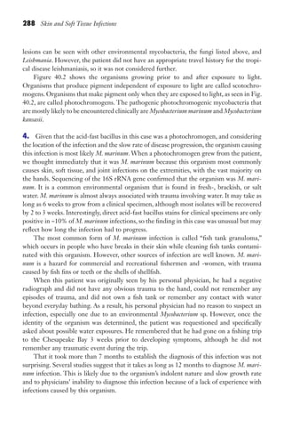 288 Skin and Soft Tissue Infections
lesions can be seen with other environmental mycobacteria, the fungi listed above, and
Leishmania. However, the patient did not have an appropriate travel history for the tropi-
cal disease leishmaniasis, so it was not considered further.
Figure 40.2 shows the organisms growing prior to and after exposure to light.
Organisms that produce pigment independent of exposure to light are called scotochro-
mogens. Organisms that make pigment only when they are exposed to light, as seen in Fig.
40.2, are called photochromogens. The pathogenic photochromogenic mycobacteria that
are mostly likely to be encountered clinically are Mycobacterium marinum and Mycobacterium
kansasii.
4. Given that the acid-fast bacillus in this case was a photochromogen, and considering
the location of the infection and the slow rate of disease progression, the organism causing
this infection is most likely M. marinum. When a photochromogen grew from the patient,
we thought immediately that it was M. marinum because this organism most commonly
causes skin, soft tissue, and joint infections on the extremities, with the vast majority on
the hands. Sequencing of the 16S rRNA gene confirmed that the organism was M. mari-
num. It is a common environmental organism that is found in fresh-, brackish, or salt
water. M. marinum is almost always associated with trauma involving water. It may take as
long as 6 weeks to grow from a clinical specimen, although most isolates will be recovered
by 2 to 3 weeks. Interestingly, direct acid-fast bacillus stains for clinical specimens are only
positive in ~10% of M. marinum infections, so the finding in this case was unusual but may
reflect how long the infection had to progress.
The most common form of M. marinum infection is called “fish tank granuloma,”
which occurs in people who have breaks in their skin while cleaning fish tanks contami-
nated with this organism. However, other sources of infection are well known. M. mari-
num is a hazard for commercial and recreational fishermen and -women, with trauma
caused by fish fins or teeth or the shells of shellfish.
When this patient was originally seen by his personal physician, he had a negative
radiograph and did not have any obvious trauma to the hand, could not remember any
episodes of trauma, and did not own a fish tank or remember any contact with water
beyond everyday bathing. As a result, his personal physician had no reason to suspect an
infection, especially one due to an environmental Mycobacterium sp. However, once the
identity of the organism was determined, the patient was requestioned and specifically
asked about possible water exposures. He remembered that he had gone on a fishing trip
to the Chesapeake Bay 3 weeks prior to developing symptoms, although he did not
remember any traumatic event during the trip.
That it took more than 7 months to establish the diagnosis of this infection was not
surprising. Several studies suggest that it takes as long as 12 months to diagnose M. mari-
num infection. This is likely due to the organism’s indolent nature and slow growth rate
and to physicians’ inability to diagnose this infection because of a lack of experience with
infections caused by this organism.
Gilligan_Sec4_255-306.indd 288 7/24/14 11:44 AM
 