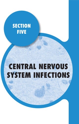 CENTRAL NERVOUS
SYSTEM INFECTIONS
SECTION
FIVE
Gilligan_Sec5_307-368.indd 307 7/24/14 11:45 AM
 