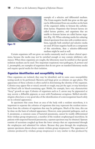 18 A Primer on the Laboratory Diagnosis of Infectious Diseases
example of a selective and differential medium.
The Gram-negative bacilli that grow on this agar
can be differentiated from one another on the basis
of the organism’s ability to ferment the carbohy-
drate lactose. Organisms that ferment lactose are
called lactose positive, and organisms that are
unable to ferment lactose are called lactose nega-
tive (Fig. 10). When selecting media for culturing
clinical specimens from sites with a resident micro-
biota, typically both enriched and selective media
are used. If Gram-negative bacilli are a component
of this microbiota, than a selective-differential
medium might be used as well.
Certain organisms will not grow on media commonly used to culture clinical speci-
mens, because the media may not be enriched enough or may contain inhibitory sub-
stances. When these organisms are sought, the laboratory must be notified so that special
isolation medium can be used. Two important respiratory tract pathogens, B. pertussis and
L. pneumophila, are examples of organisms that do not grow on standard laboratory media
and require special media for their isolation.
Organism identification and susceptibility testing
Once organisms are isolated, they may be identified, and in some cases susceptibility
testing needs to be performed. Bacteria and fungi grow as colonies on agar plates. The
appearance of these colonies is often useful in determining the identity of the organism.
Colonies may appear flat or raised, smooth or rough; may pit the agar; or may hemolyze
red blood cells in blood-containing agar. Molds, for example, have very characteristic
“fuzzy” growth on agar. Colonies of organisms such as S. aureus may be pigmented or
may secrete a diffusible pigment, as seen with Pseudomonas aeruginosa. Skilled microbi-
ologists often have a very good idea of the identification of a microorganism based solely
on its colonial appearance.
In specimens that come from an area of the body with a resident microbiota, it is
important to separate the colonies of organisms that may represent the resident micro-
biota from the colonies of organisms that may be pathogens. Much of the time, this can
be done on the basis of colonial appearance. However, some potential pathogens, such as
S. pneumoniae, a common cause of bacterial pneumonia, cannot be readily differentiated
from viridans group streptococci, a member of the resident oropharyngeal microbiota. In
patients with suspected bacterial pneumonia, a sputum specimen may be obtained. Sputum
consists of secretions coughed up from the lower airways that are expectorated through
the oropharynx and submitted for culture. Because they pass through the oropharynx,
sputum specimens almost always contain viridans group streptococci. The appearance of
colonies produced by viridans group streptococci is very similar to that produced by
Figure 10
Gilligan_Primer_001-024.indd 18 7/24/14 11:42 AM
 