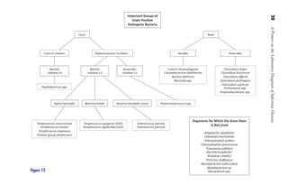 20
A
Primer
on
the
Laboratory
Diagnosis
of
Infectious
Diseases
Figure 12
Gilligan_Primer_001-024.indd
20
7/24/14
11:42
AM
 