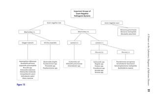 A
Primer
on
the
Laboratory
Diagnosis
of
Infectious
Diseases
21
Figure 13
Gilligan_Primer_001-024.indd
21
7/24/14
11:42
AM
 