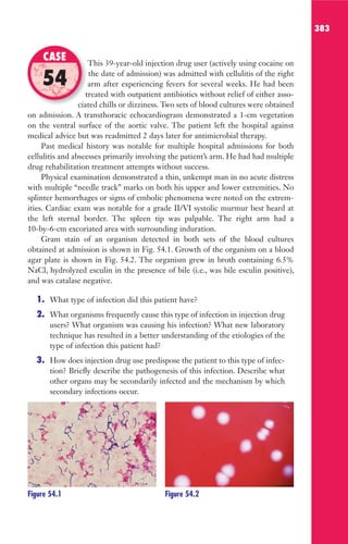 383
This 39-year-old injection drug user (actively using cocaine on
the date of admission) was admitted with cellulitis of the right
arm after experiencing fevers for several weeks. He had been
treated with outpatient antibiotics without relief of either asso-
ciated chills or dizziness. Two sets of blood cultures were obtained
on admission. A transthoracic echocardiogram demonstrated a 1-cm vegetation
on the ventral surface of the aortic valve. The patient left the hospital against
medical advice but was readmitted 2 days later for antimicrobial therapy.
Past medical history was notable for multiple hospital admissions for both
cellulitis and abscesses primarily involving the patient’s arm. He had had multiple
drug rehabilitation treatment attempts without success.
Physical examination demonstrated a thin, unkempt man in no acute distress
with multiple “needle track” marks on both his upper and lower extremities. No
splinter hemorrhages or signs of embolic phenomena were noted on the extrem-
ities. Cardiac exam was notable for a grade II/VI systolic murmur best heard at
the left sternal border. The spleen tip was palpable. The right arm had a
10-by-6-cm excoriated area with surrounding induration.
Gram stain of an organism detected in both sets of the blood cultures
obtained at admission is shown in Fig. 54.1. Growth of the organism on a blood
agar plate is shown in Fig. 54.2. The organism grew in broth containing 6.5%
NaCl, hydrolyzed esculin in the presence of bile (i.e., was bile esculin positive),
and was catalase negative.
1. What type of infection did this patient have?
2. What organisms frequently cause this type of infection in injection drug
users? What organism was causing his infection? What new laboratory
technique has resulted in a better understanding of the etiologies of the
type of infection this patient had?
3. How does injection drug use predispose the patient to this type of infec-
tion? Briefly describe the pathogenesis of this infection. Describe what
other organs may be secondarily infected and the mechanism by which
secondary infections occur.
This 39-year-old injection drug user (actively using cocaine on
arm after experiencing fevers for several weeks. He had been
treated with outpatient antibiotics without relief of either asso-
ciated chills or dizziness. Two sets of blood cultures were obtained
CASE
54
Figure 54.1 Figure 54.2
Gilligan_Sec6_369-436.indd 383 7/24/14 11:14 AM
 