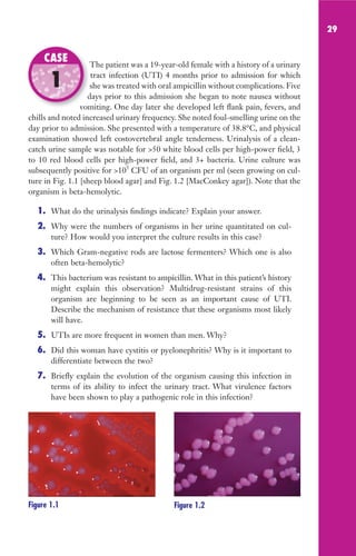 29
The patient was a 19-year-old female with a history of a urinary
tract infection (UTI) 4 months prior to admission for which
she was treated with oral ampicillin without complications. Five
days prior to this admission she began to note nausea without
vomiting. One day later she developed left flank pain, fevers, and
chills and noted increased urinary frequency. She noted foul-smelling urine on the
day prior to admission. She presented with a temperature of 38.8°C, and physical
examination showed left costovertebral angle tenderness. Urinalysis of a clean-
catch urine sample was notable for 50 white blood cells per high-power field, 3
to 10 red blood cells per high-power field, and 3+ bacteria. Urine culture was
subsequently positive for 105
CFU of an organism per ml (seen growing on cul-
ture in Fig. 1.1 [sheep blood agar] and Fig. 1.2 [MacConkey agar]). Note that the
organism is beta-hemolytic.
1. What do the urinalysis findings indicate? Explain your answer.
2. Why were the numbers of organisms in her urine quantitated on cul-
ture? How would you interpret the culture results in this case?
3. Which Gram-negative rods are lactose fermenters? Which one is also
often beta-hemolytic?
4. This bacterium was resistant to ampicillin. What in this patient’s history
might explain this observation? Multidrug-resistant strains of this
organism are beginning to be seen as an important cause of UTI.
Describe the mechanism of resistance that these organisms most likely
will have.
5. UTIs are more frequent in women than men. Why?
6. Did this woman have cystitis or pyelonephritis? Why is it important to
differentiate between the two?
7. Briefly explain the evolution of the organism causing this infection in
terms of its ability to infect the urinary tract. What virulence factors
have been shown to play a pathogenic role in this infection?
The patient was a 19-year-old female with a history of a urinary
she was treated with oral ampicillin without complications. Five
days prior to this admission she began to note nausea without
vomiting. One day later she developed left flank pain, fevers, and
CASE
1
Figure 1.1 Figure 1.2
Gilligan_Sec1_025-062.indd 29 7/24/14 11:43 AM
 