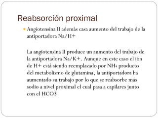 Reabsorción proximal <ul><ul><li>Angiotensina II además casa aumento del trabajo de la antiportadora Na/H+  </li></ul></ul...