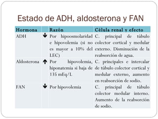 Estado de ADH, aldosterona y FAN Hormona Razón Célula renal y efecto ADH  Por hipoosmolaridad e hipovolemia (si no es may...