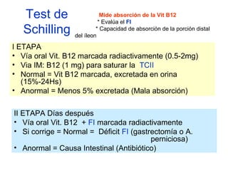 I ETAPA Vía oral Vit. B12 marcada radiactivamente (0.5-2mg) Via IM: B12 (1 mg) para saturar la  TCII Normal = Vit B12 marcada, excretada en orina (15%-24Hs) Anormal = Menos 5% excretada (Mala absorción) Test de Schilling II ETAPA Días después Vía oral Vit. B12  +  FI  marcada radiactivamente Si corrige = Normal =  Déficit  FI  (gastrectomía o A.  perniciosa) Anormal = Causa Intestinal (Antibiótico) Mide absorción de la Vit B12   * Evalúa el  FI  * Capacidad de absorción de la porción distal del íleon 