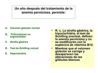 Un año después del tratamiento de la 
anemia perniciosa, persiste: 
A. Volumen globular normal 
B. Polinucleares no 
segmentados 
C. Atrofia gástrica 
D. Test de Schilling normal 
E. Hipercloridria 
• R: c. La atrofia gástrica, la 
hipoclorhidria, el test de 
Schilling anormal, definen 
la anemia perniciosa y no 
se modificarán con la 
suplencia de vitamina B12. 
• Mientras que el volumen 
globular se corrige y 
desaparecen las 
alteraciones de los 
glóbulos blancos 
 