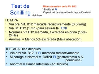 Test de 
Schilling 
Mide absorción de la Vit B12 
* Evalúa el FI 
* Capacidad de absorción de la porción distal 
del íleon 
I ETAPA 
• Vía oral Vit. B12 marcada radiactivamente (0.5-2mg) 
• Via IM: B12 (1 mg) para saturar la TCII 
• Normal = Vit B12 marcada, excretada en orina (15%- 
24Hs) 
• Anormal = Menos 5% excretada (Mala absorción) 
II ETAPA Días después 
• Vía oral Vit. B12 + FI marcada radiactivamente 
• Si corrige = Normal = Déficit FI (gastrectomía o A. 
perniciosa) 
• Anormal = Causa Intestinal (Antibiótico) 
 