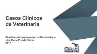 Casos Clínicos
de Veterinaria
Semillero de Investigación de Bacteriología
Lina María Pineda Berrio
2017
 