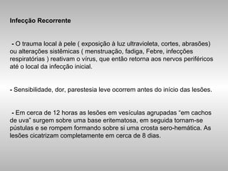 Infecção Recorrente -  O trauma local à pele ( exposição à luz ultravioleta, cortes, abrasões) ou alterações sistêmicas ( menstruação, fadiga, Febre, infecções respiratórias ) reativam o vírus, que então retorna aos nervos periféricos até o local da infecção inicial. -  Sensibilidade, dor, parestesia leve ocorrem antes do início das lesões. -  Em cerca de 12 horas as lesões em vesículas agrupadas “em cachos de uva” surgem sobre uma base eritematosa, em seguida tornam-se pústulas e se rompem formando sobre si uma crosta sero-hemática. As lesões cicatrizam completamente em cerca de 8 dias. 