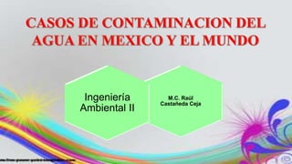 M.C. Raúl 
Castañeda Ceja 
Ingeniería 
Ambiental II 
 