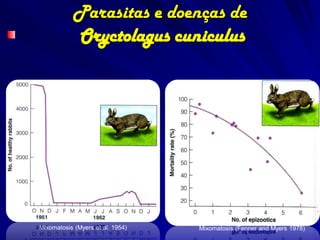 Parasitas e doenças de
            Oryctolagus cuniculus




Mixomatosis (Myers et al. 1954)   Mixomatosis (Fenner and Mye...