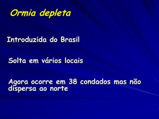 Ormia depleta

Introduzida do Brasil

Solta em vários locais

Agora ocorre em 38 condados mas não
dispersa ao norte
 