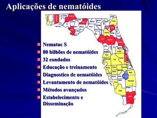 O nematóide da paquinha na
Florida
 6 meses- 80% paquinhas infectadas
 1 ano- paquinhas infectadas disseminam
 os nematóid...