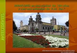 Molle serrano - Municipalidad Distrital de MirafloresMunicipalidad