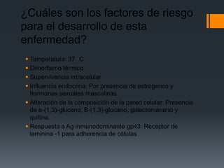 ¿Cuáles son los factores de riesgo
para el desarrollo de esta
enfermedad?
 Temperatura: 37 C
 Dimorfismo térmico
 Supervivencia intracelular
 Influencia endocrina: Por presencia de estrógenos y
  hormonas sexuales masculinas.
 Alteración de la composición de la pared celular: Presencia
  de a-(1,3)-glucano, B-(1,3)-glucano, galactomanano y
  quitina.
 Respuesta a Ag inmunodominante gp43: Receptor de
  laminina -1 para adherencia de células
 