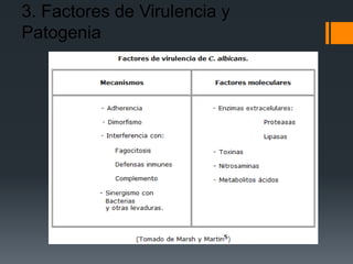 3. Factores de Virulencia y
Patogenia
 