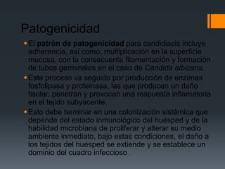 Patogenicidad
 El patrón de patogenicidad para candidiasis incluye
  adherencia, así como, multiplicación en la superficie
  mucosa, con la consecuente filamentación y formación
  de tubos germinales en el caso de Candida albicans.
 Este proceso va seguido por producción de enzimas
  fosfolipasa y proteinasa, las que producen un daño
  tisular, penetran y provocan una respuesta inflamatoria
  en el tejido subyacente.
 Esto debe terminar en una colonización sistémica que
  depende del estado inmunológico del huésped y de la
  habilidad microbiana de proliferar y alterar su medio
  ambiente inmediato, bajo estas condiciones, el daño a
  los tejidos del huésped se extiende y se establece un
  dominio del cuadro infeccioso .
 