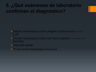 5. ¿Qué exámenes de laboratorio
confirman el diagnóstico?



   Estudio microscopico,cultivo,antigeno (crytococcus)-------->
    LCR
   Estudio microscopico,cultivo (sin triturar tejidos)---------------->
    BIOPSIA
   TINCION GRAM
   Tincion anatomopatologica demucina
 